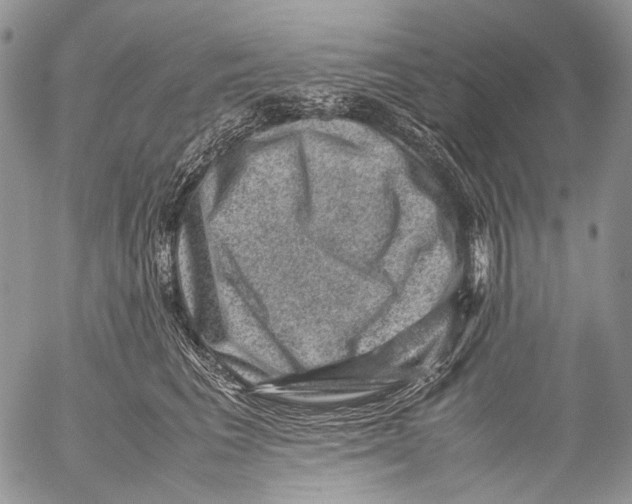 X0000053050613200508081130