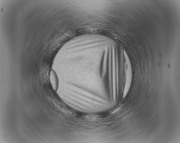 X0000053050615200508081130