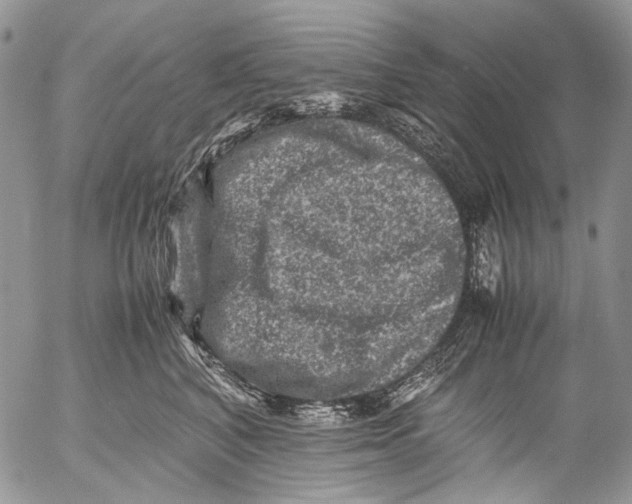 X0000053050616200508081130