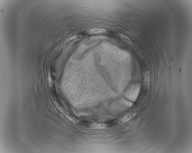 X0000053050617200508081130