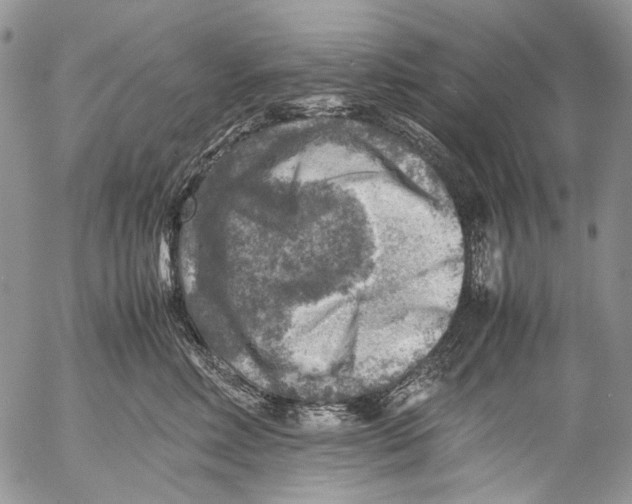 X0000053050618200508081130