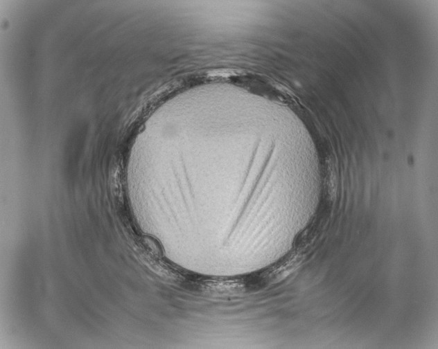 X0000053050619200508081130