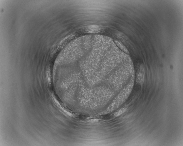 X0000053050620200508081130