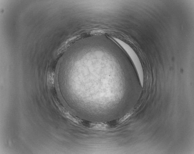 X0000053050621200508081130