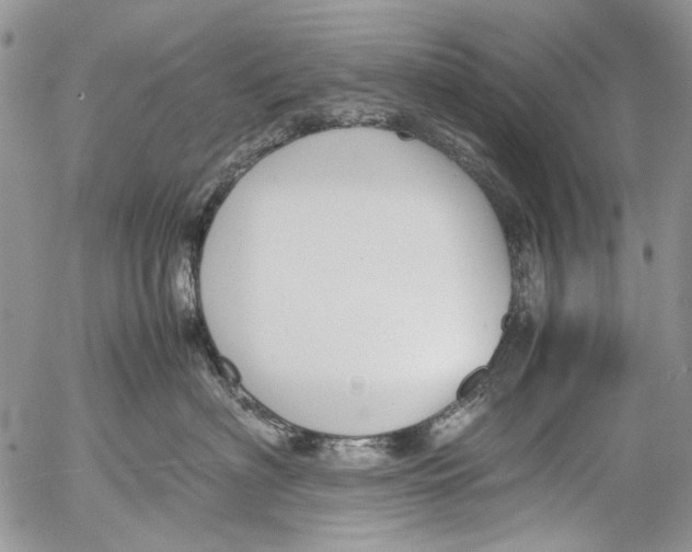 X0000053050622200508081130