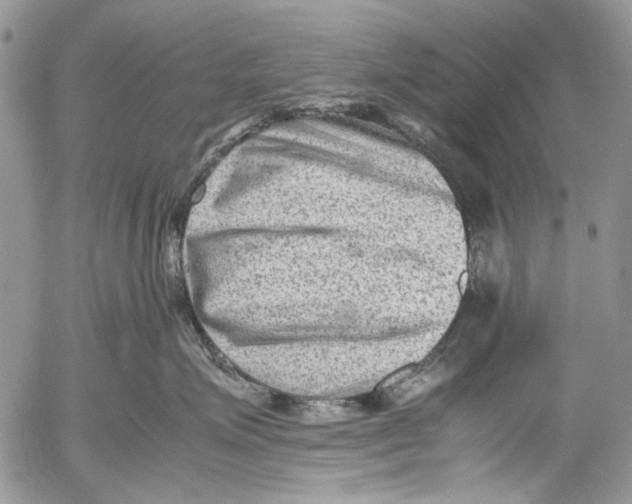 X0000053050623200508081130