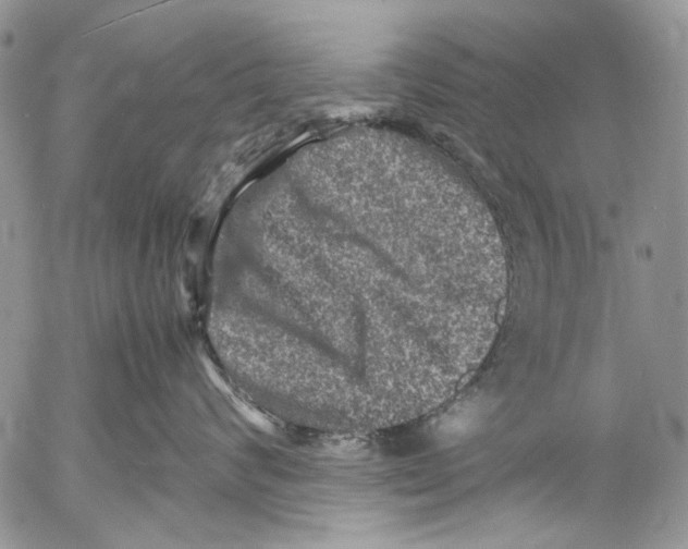 X0000053050624200508081130