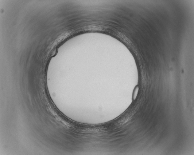 X0000053050625200508081129