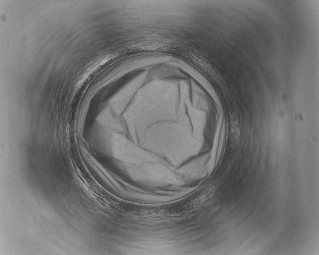 X0000053050626200508081129