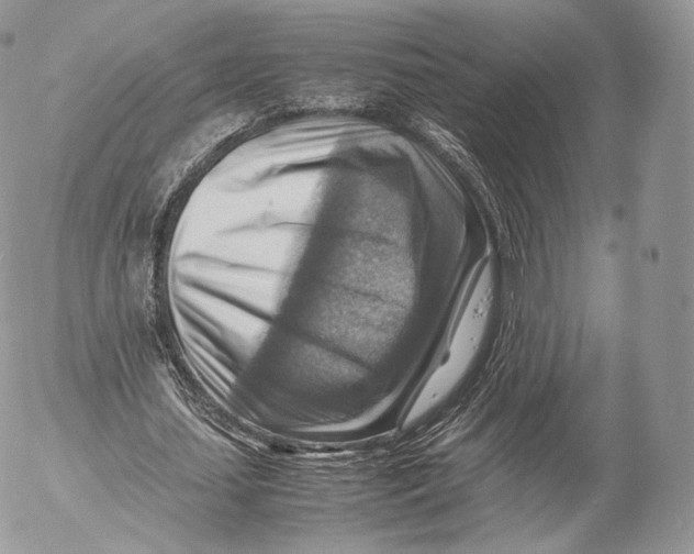 X0000053050627200508081129