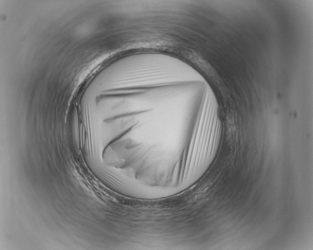 X0000053050628200508081129