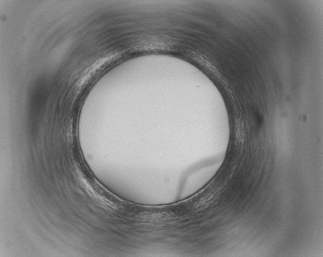 X0000053050629200508081129