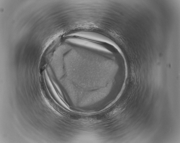 X0000053050630200508081129