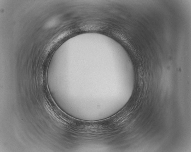 X0000053050631200508081129