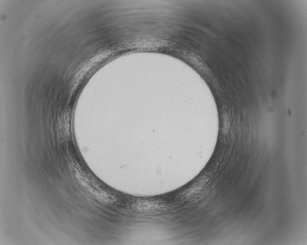 X0000053050632200508081129