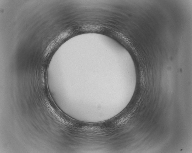 X0000053050633200508081129