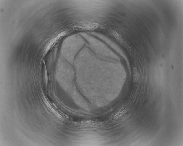 X0000053050634200508081129