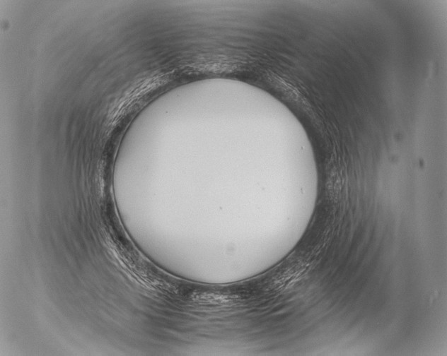 X0000053050635200508081129