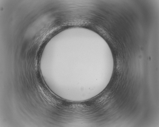 X0000053050636200508081129