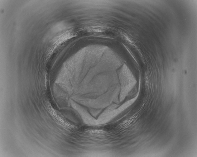 X0000053050637200508081129