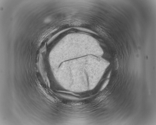 X0000053050638200508081129