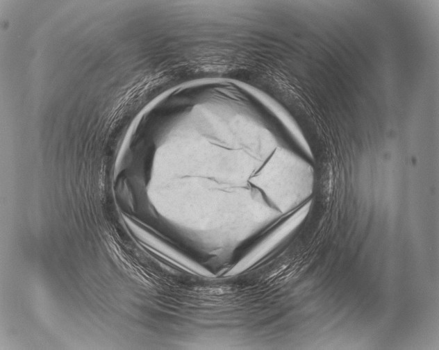 X0000053050639200508081129