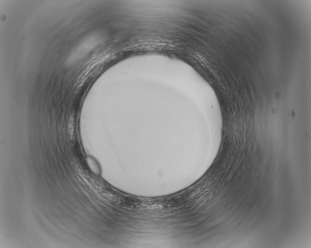 X0000053050640200508081129