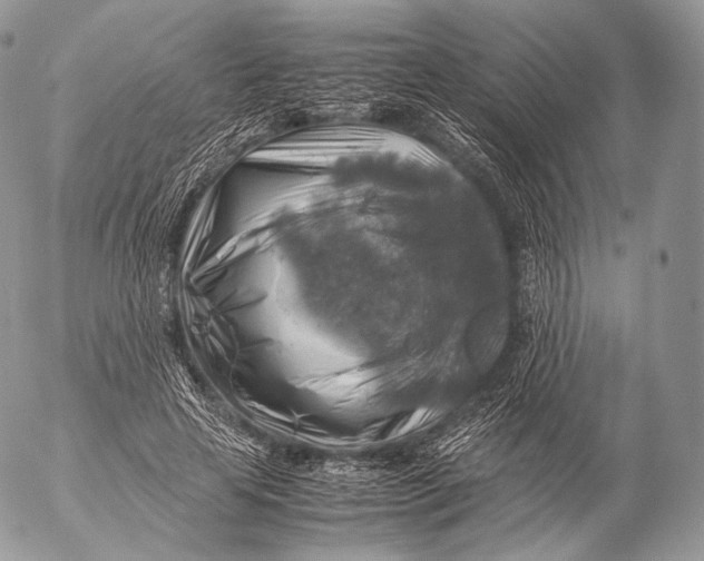 X0000053050641200508081129