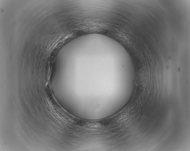 X0000053050642200508081129