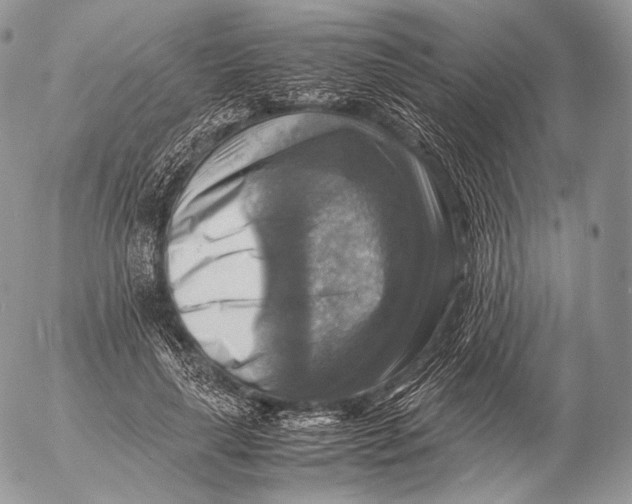 X0000053050643200508081129