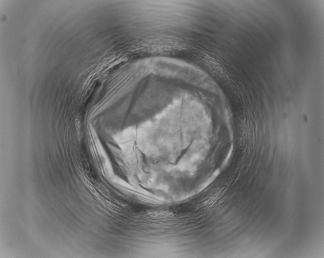 X0000053050644200508081129