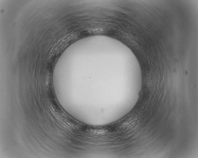 X0000053050645200508081130