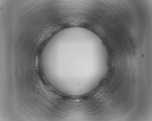 X0000053050646200508081130