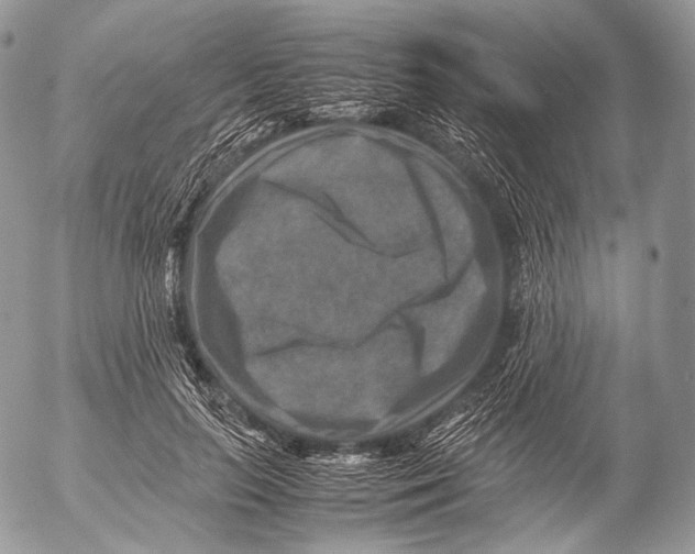 X0000053050647200508081130