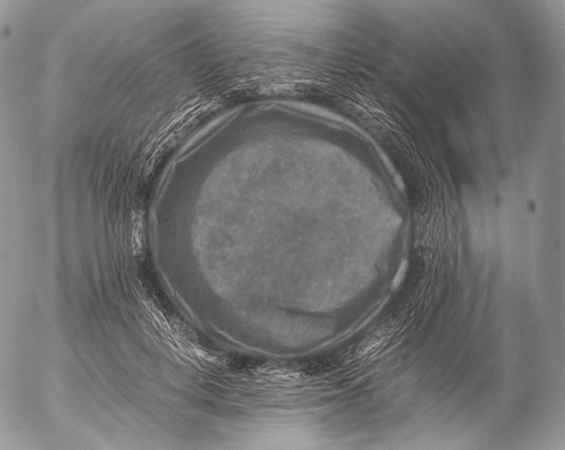 X0000053050648200508081130