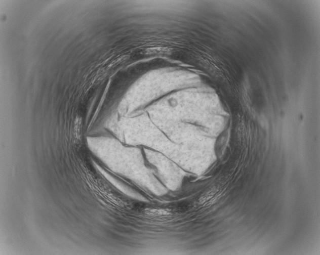 X0000053050649200508081130