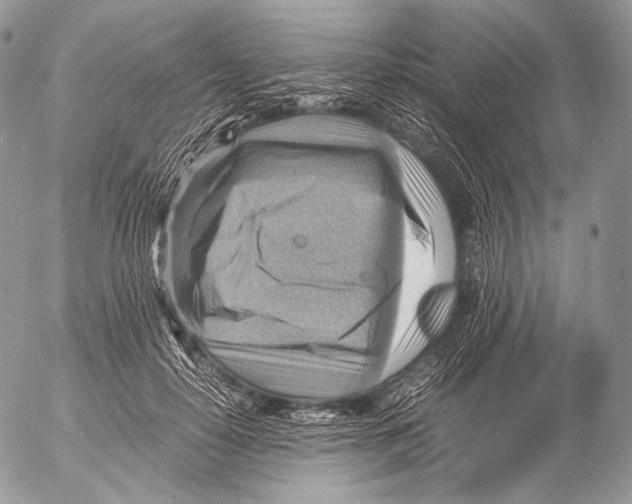 X0000053050650200508081130