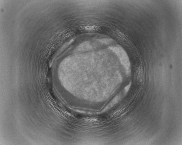 X0000053050651200508081130