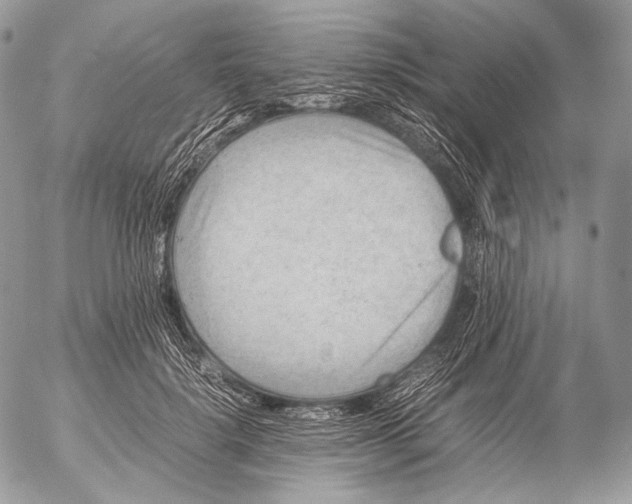 X0000053050652200508081130