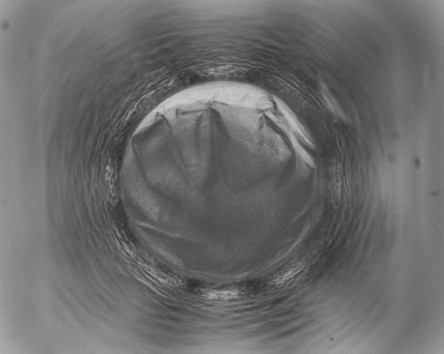 X0000053050653200508081130