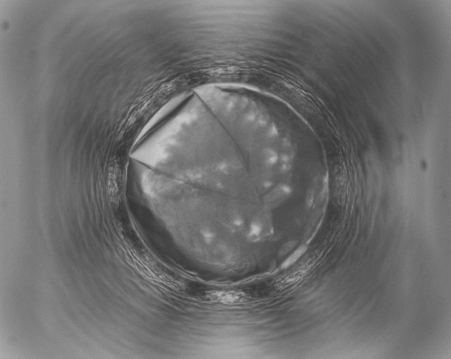 X0000053050654200508081130