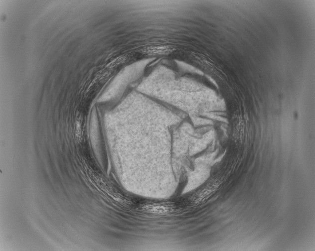 X0000053050655200508081130