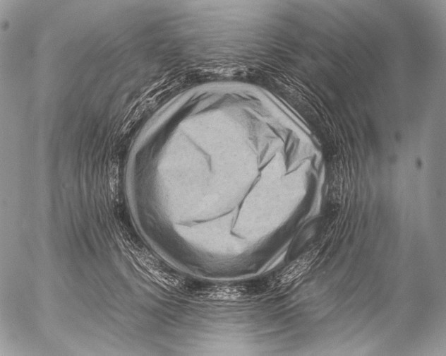 X0000053050656200508081130