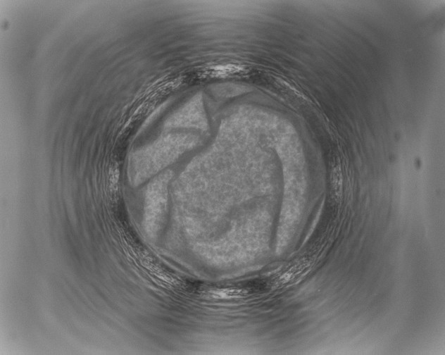 X0000053050657200508081130