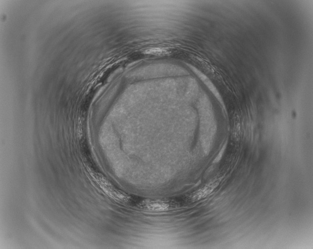 X0000053050658200508081130