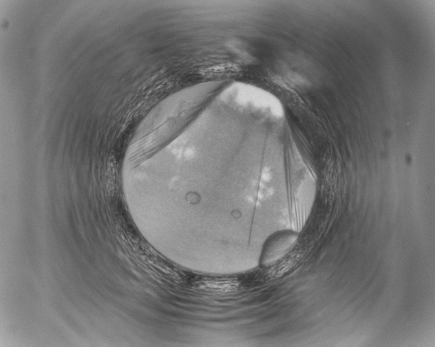 X0000053050659200508081130