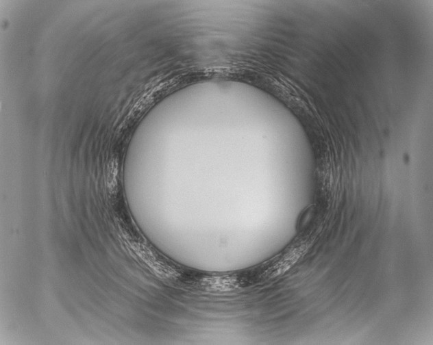 X0000053050660200508081130