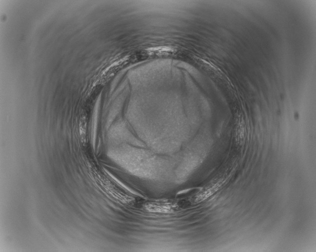 X0000053050661200508081130