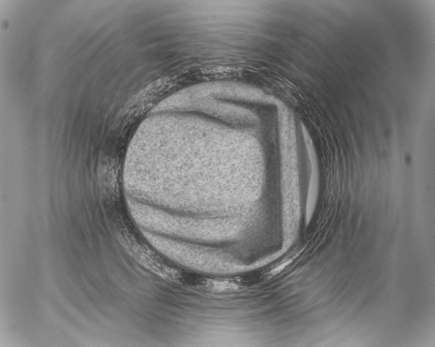 X0000053050662200508081130