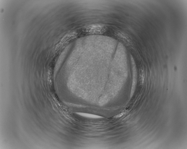 X0000053050663200508081130